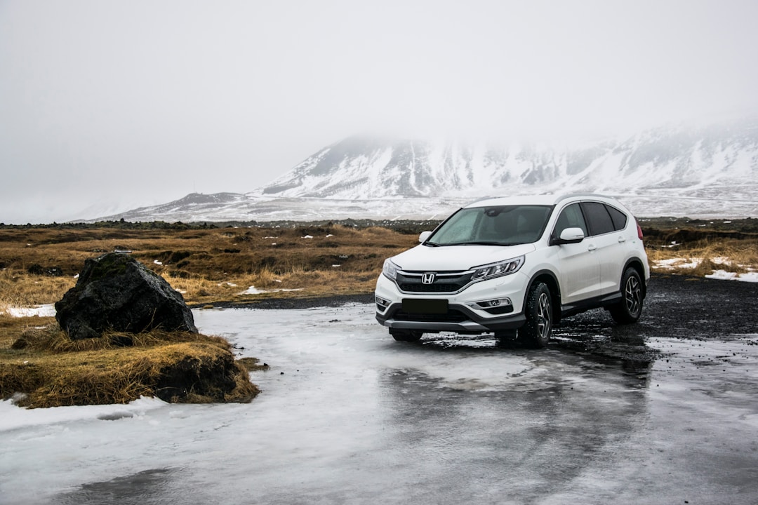 How Anti-Theft Discounts Work on Insurance 16 img