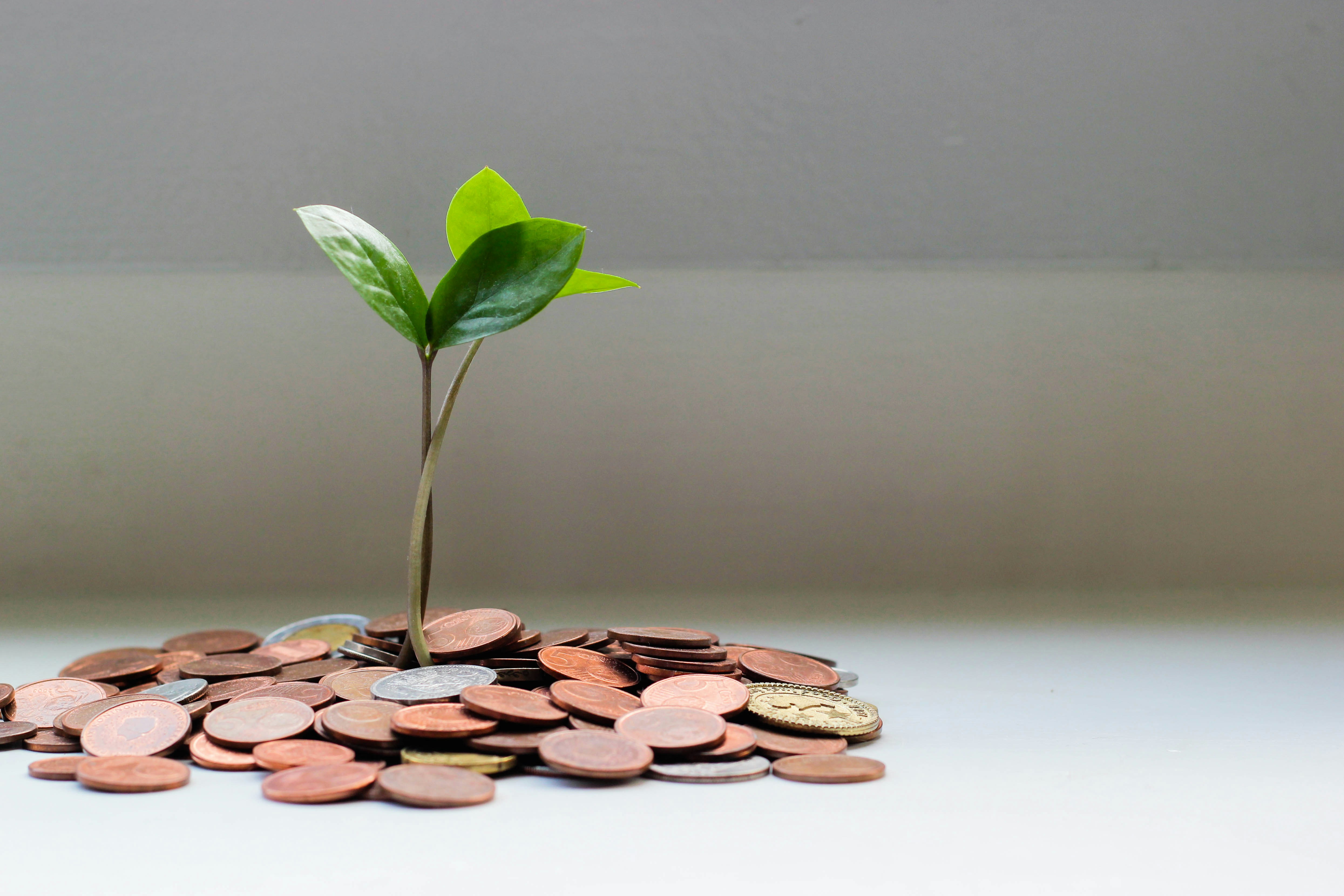 How to Get the Most of Your Life Insurance Policy 16 img