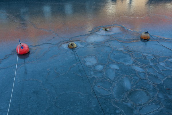 What Are Environmental Site Investigations? 12 img