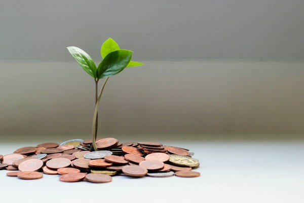Important Steps To Take To Be Financially Secure 12 img
