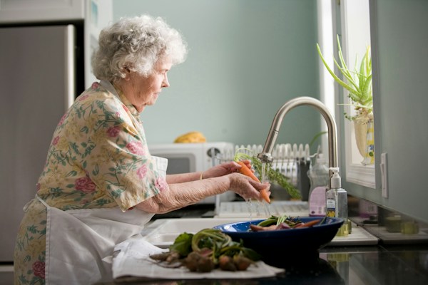 Helpful Services for Seniors 12 img