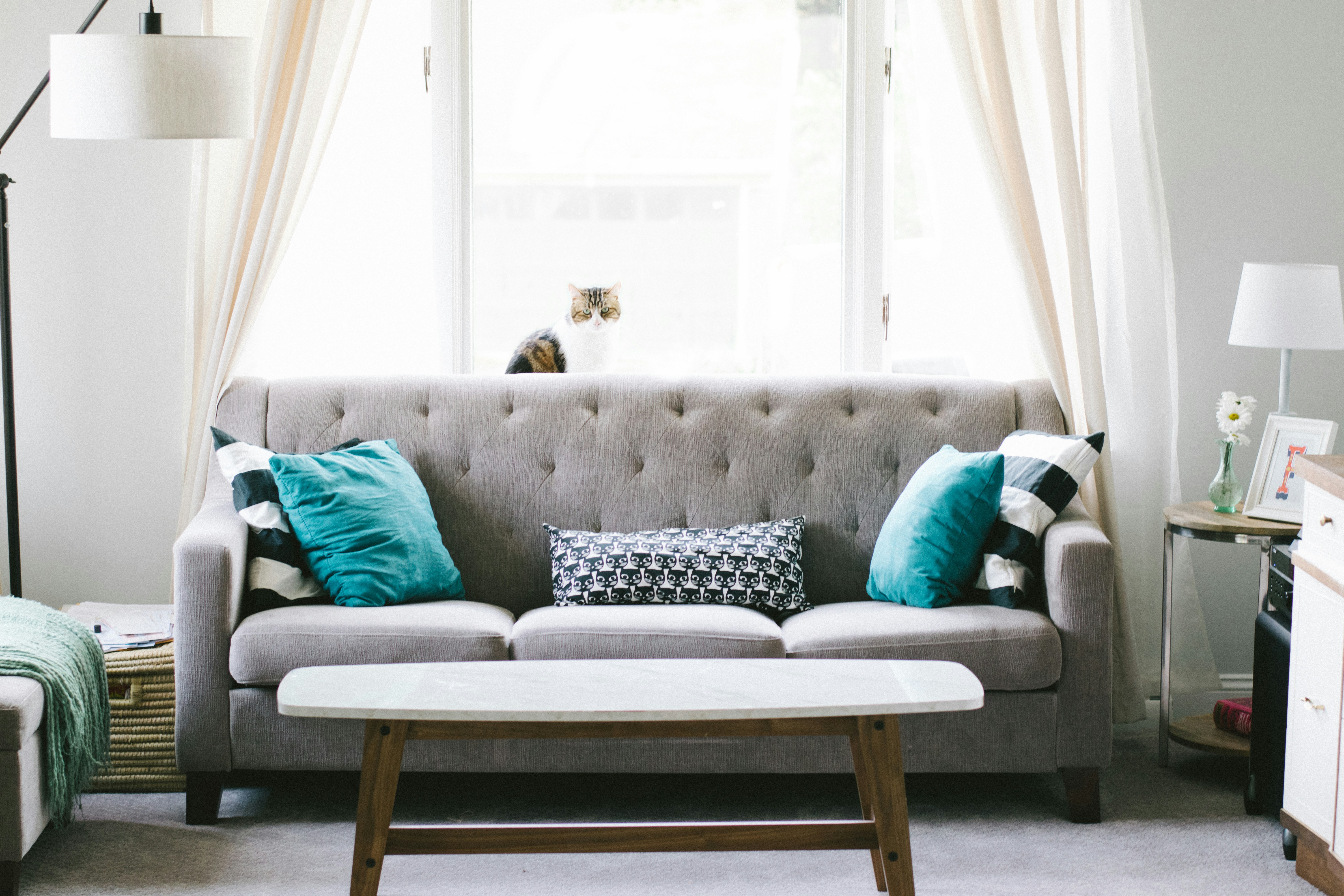 5 Things That Are Worth a Higher Price Tag 29 img