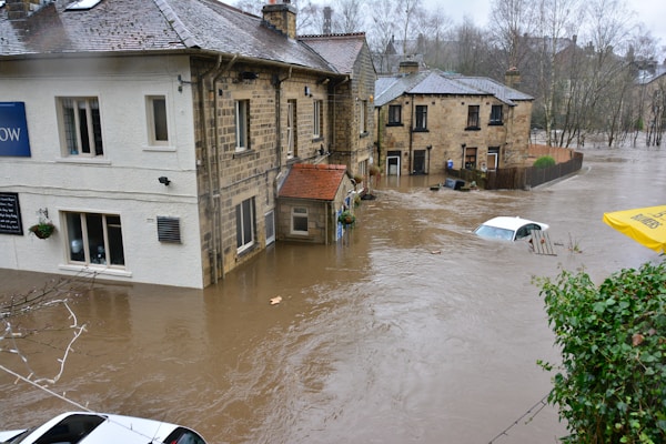 How To Get Your Business Back Up and Running After a Natural Disaster 11 img