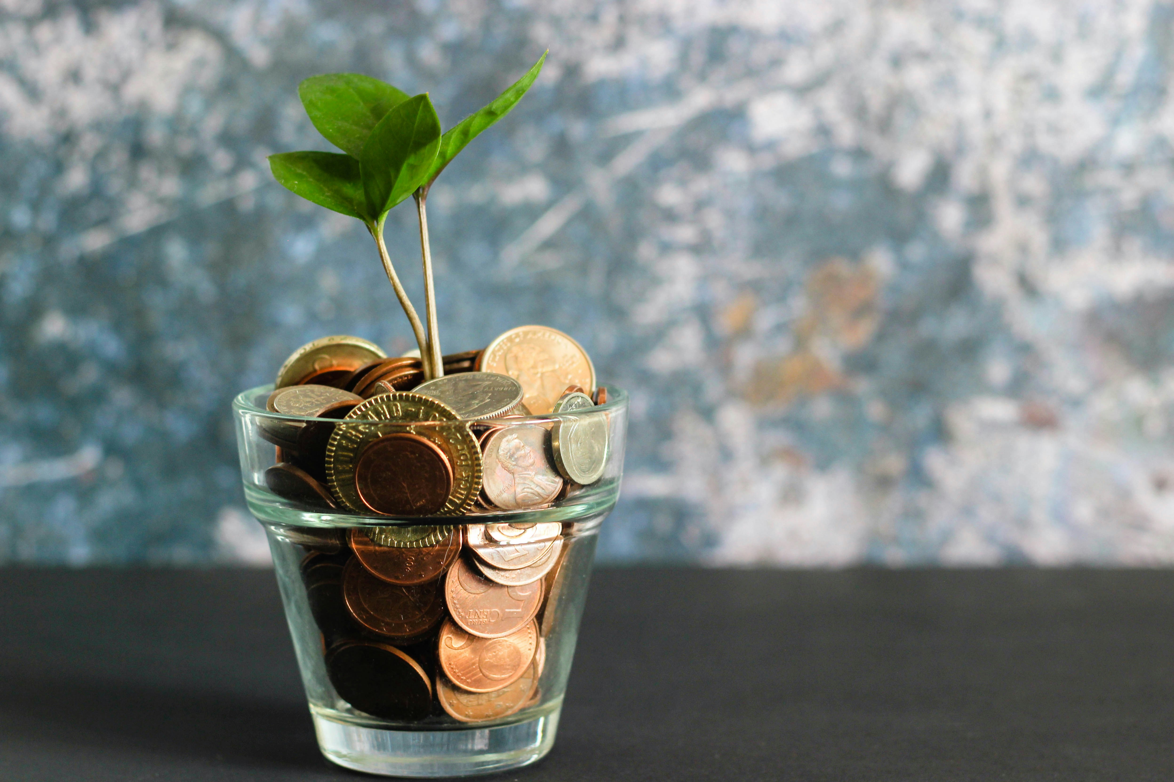 Your Guide to Car Insurance 18 img