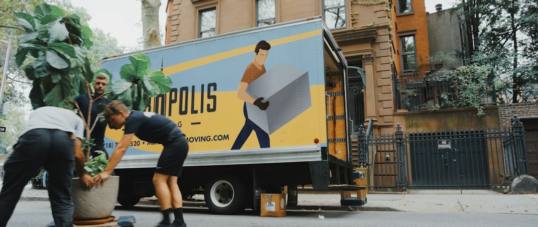 The Top Moving Mistakes To Avoid: Insights from Seasoned Movers 11 img