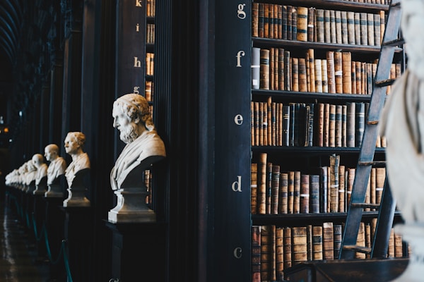 Managing Business Litigation With the Help of an Experienced Lawyer 12 img
