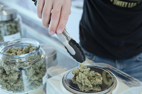 How To Start Your Own Marijuana Dispensary 11 img